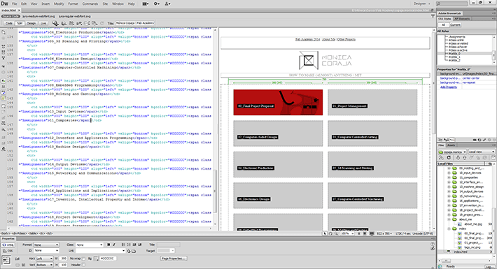 web_development