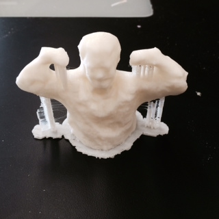 PSF Scan after print