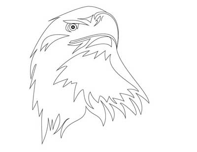 Bird3