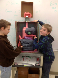 students with model