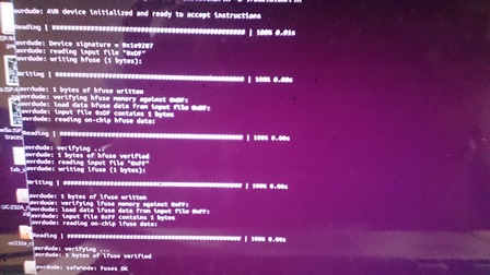 programming success