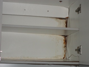 flood pic 4