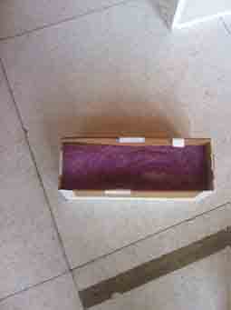 wax1
