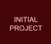 initial project