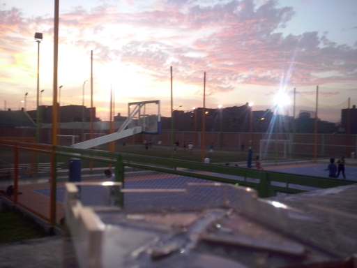 mold in sunset