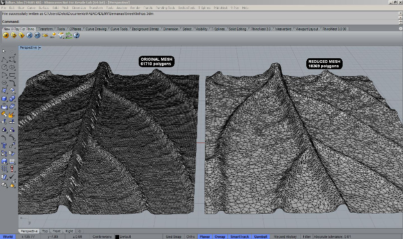 05_rhino_leaf_mesh.jpg