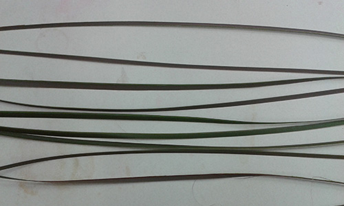 cut flax strips