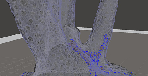 Meshmixer transparent view