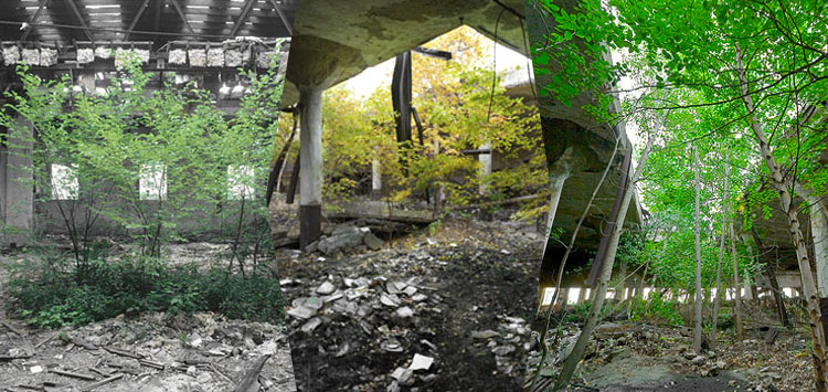 w19_01urbangreen.jpg