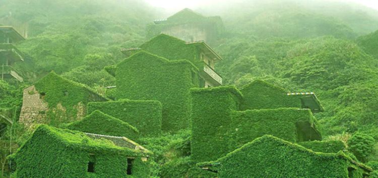 w19_997greenChina.jpg
