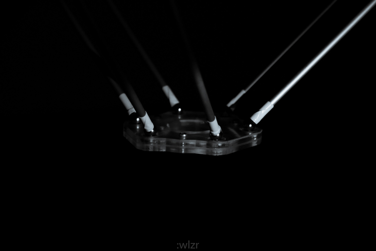 w20_142.jpg