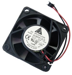 fan