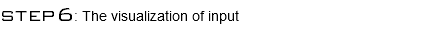 step6: The visualization of input