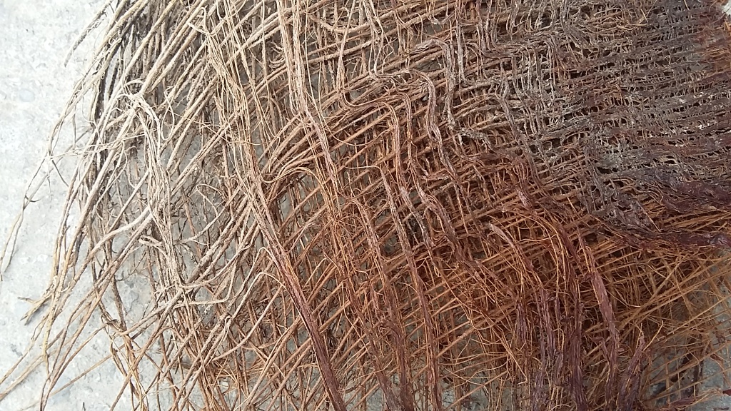 fiber0.jpg