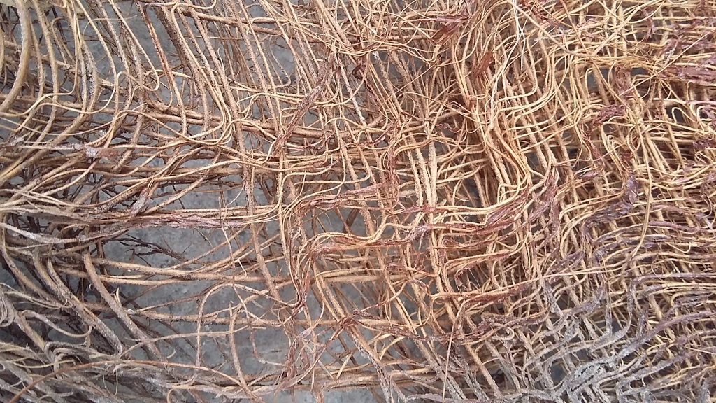 fiber1.jpg