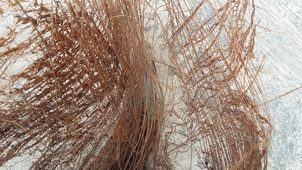 fiber2.jpg