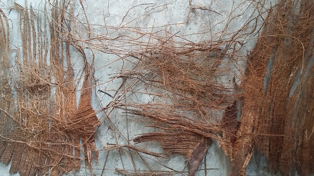 fiber3.jpg