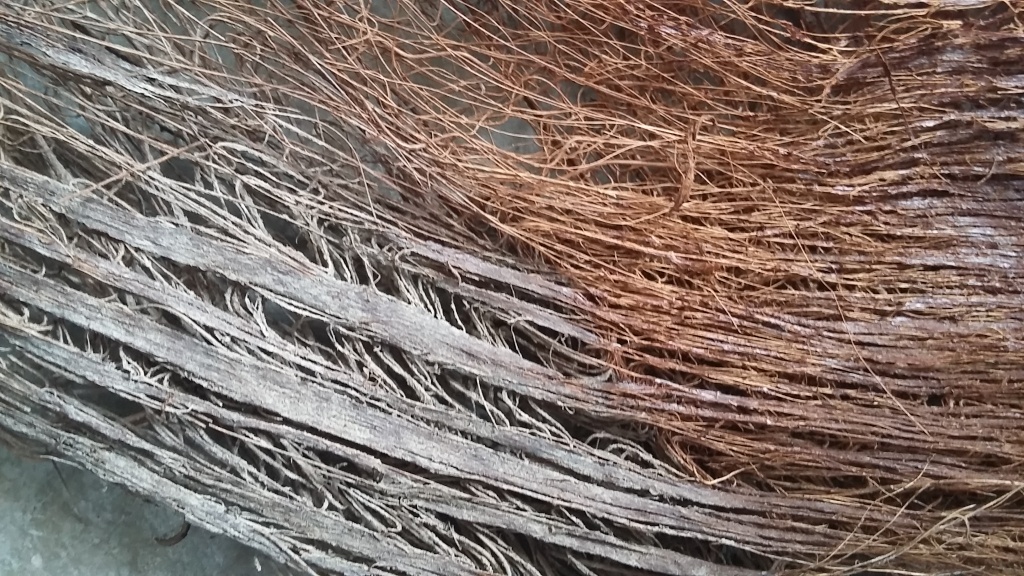 fiber5.jpg