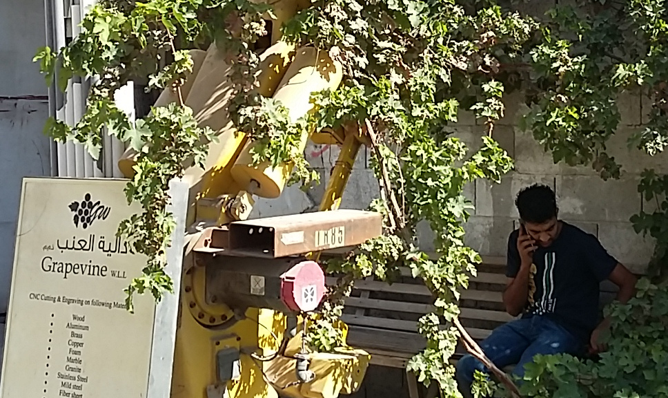 grapevine1.jpg