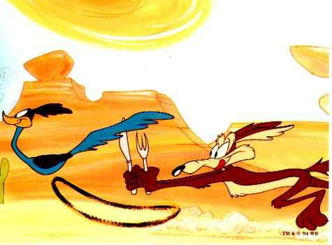 road-runner.jpg