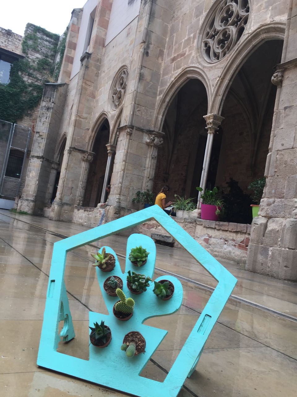 cactus holder