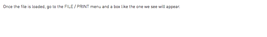 Once the file is loaded, go to the FILE / PRINT menu and a box like the one we see will appear.
