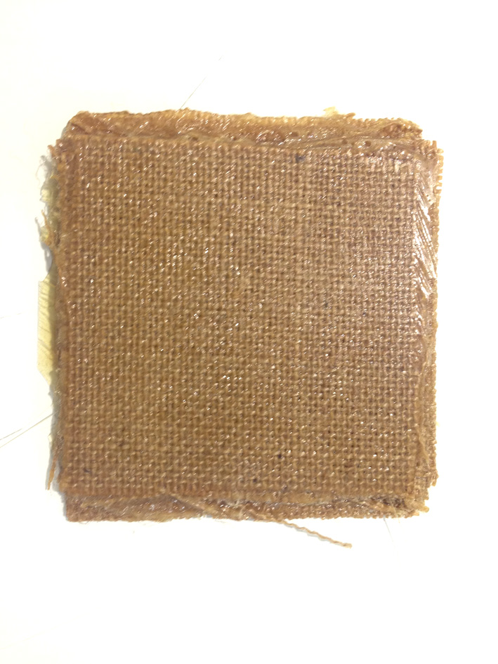 Your browser does not support this image