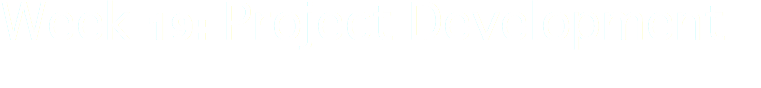 Week 19: Project Development