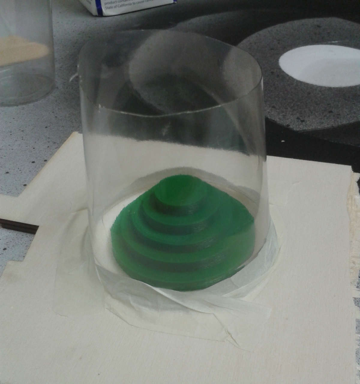 foto11