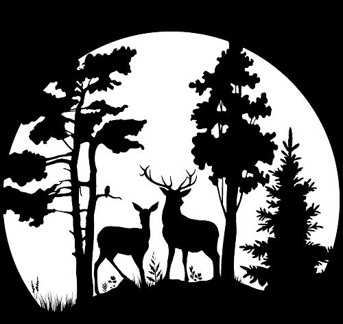 Vinyl Cutter