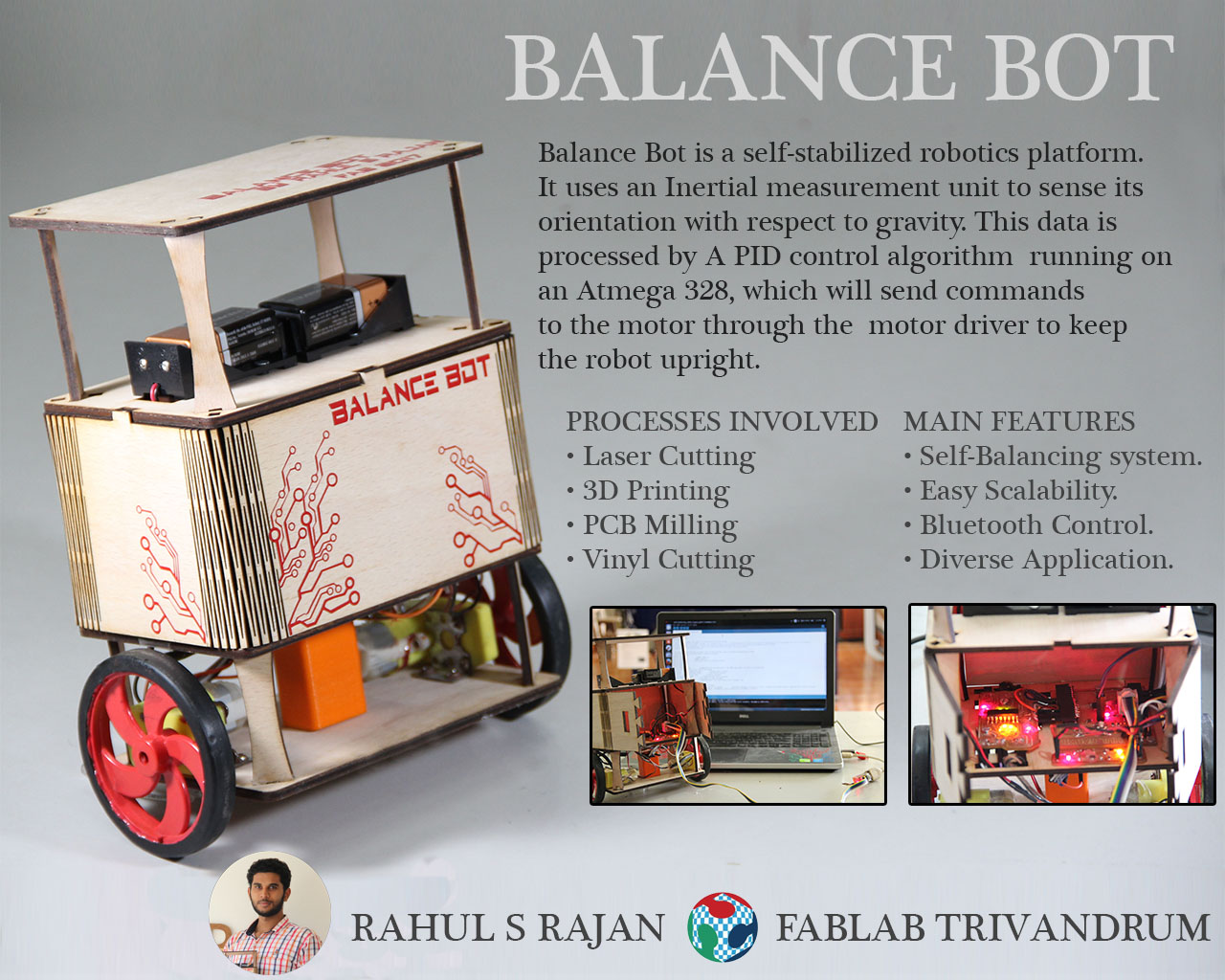 Self balancing gyro robot  