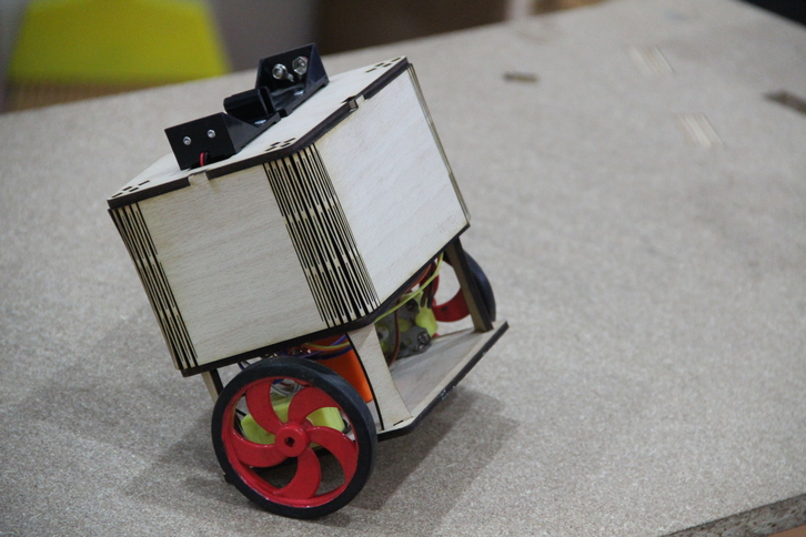 Self balancing gyro robot  