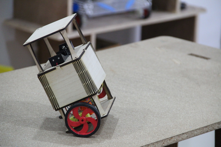 Self balancing gyro robot  