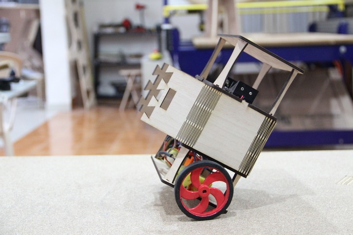 Self balancing gyro robot  
