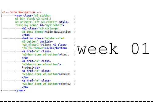 week01
