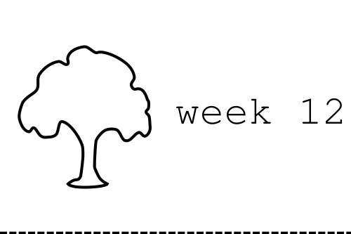 week12